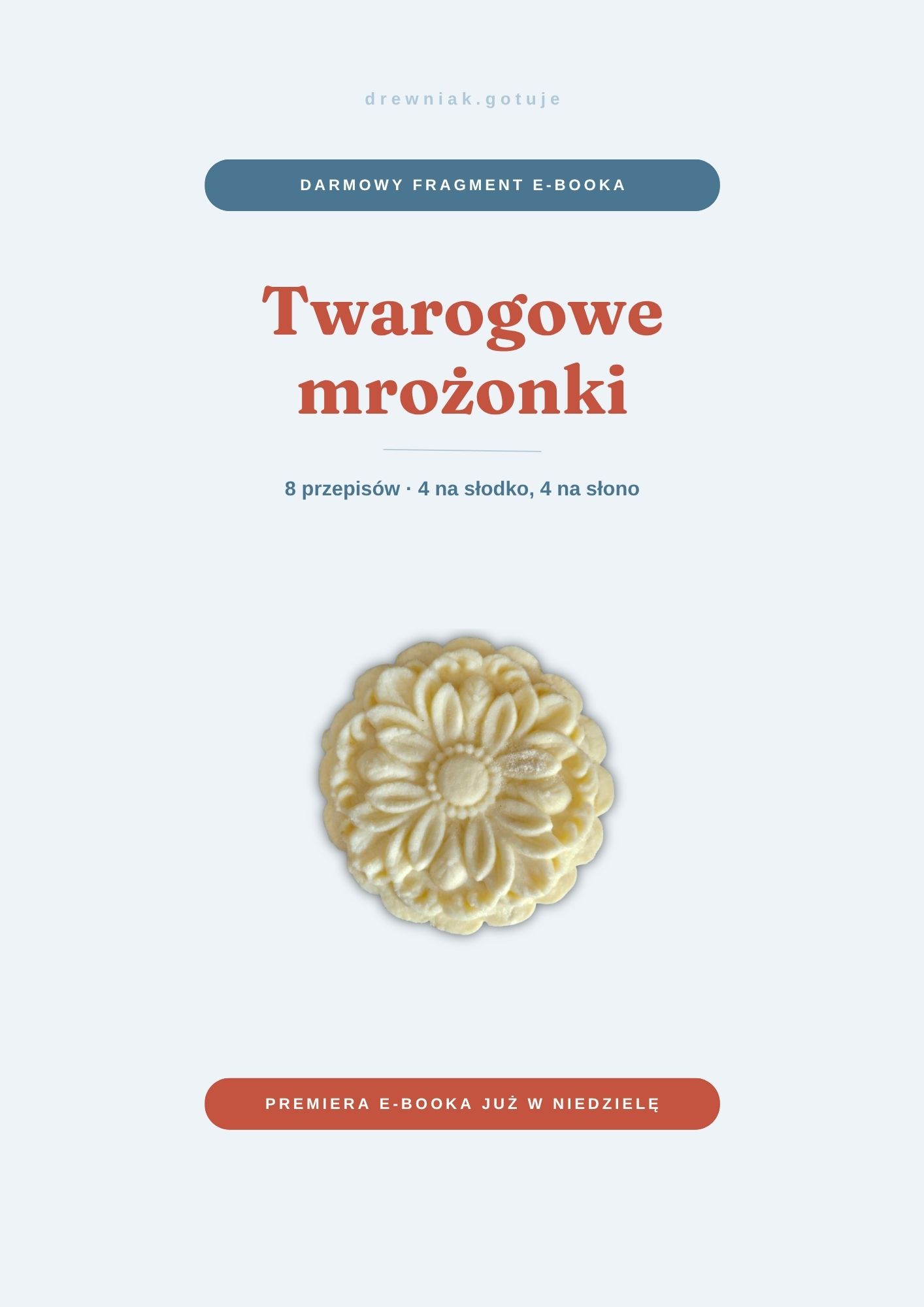 Grafika darmowego fragmentu e-booka „Twarogowe mrożonki” z sernikiem oraz informacją o 8 przepisach — 4 na słodko i 4 na słono.